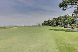 46 Hearthwood Dr, Hilton Head Island, SC 29928 - Photo 69