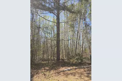 Lot 5 Freeman Street, Brunson, SC 29911 - Photo 5