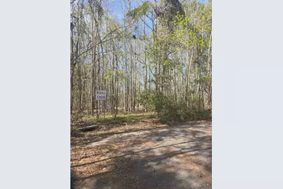 Lot 5 Freeman Street, Brunson, SC 29911 - Photo 3