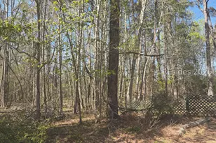 Lot 5 Freeman St, Brunson, SC 29911 - Photo 1