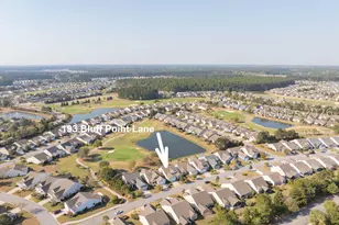 193 Bluff Point Ln, Hardeeville, SC 29909 - Photo 59