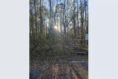 Lot 12 Freeman Street, Brunson, SC 29911 - Photo 7