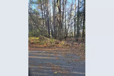 Lot 12 Freeman Street, Brunson, SC 29911 - Photo 1