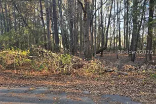 Lot 12 Freeman St, Brunson, SC 29911 - Photo 1