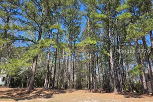 92 Wicklow Dr, Bluffton, SC 29910 - Photo 1