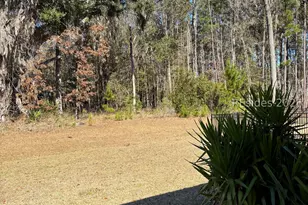 469 Rye Crk Cir, Bluffton, SC 29909 - Photo 29