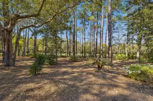 13 McIntosh Rd, Hilton Head Island, SC 29926 - Photo 87