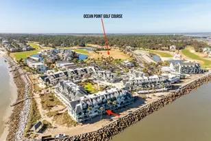 633 Newhaven Ct, Fripp Island, SC 29920 - Photo 53