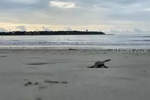 30 Captain Monroe Ln, Daufuskie Island, SC 29915 - Photo 73