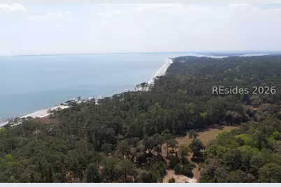 30 Captain Monroe Lane, Daufuskie Island, SC 29915 - Photo 59