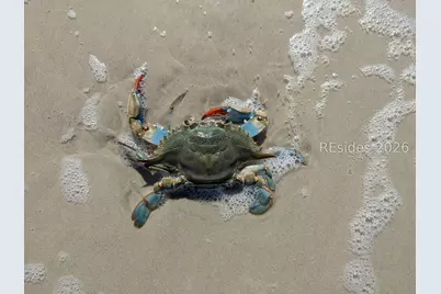 30 Captain Monroe Lane, Daufuskie Island, SC 29915 - Photo 71