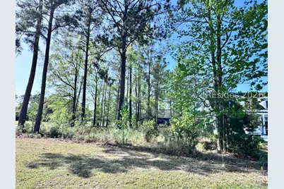 31 Full Sweep W, Hardeeville, SC 29927 - Photo 3