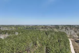 1418 Great Swamp Rd, Ridgeland, SC 29936 - Photo 11