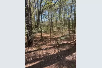 31000 Whyte Blvd, Hardeeville, SC 29927 - Photo 1