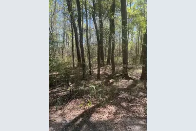 31000 Whyte Blvd, Hardeeville, SC 29927 - Photo 3