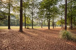 50 Pipers Pond Rd, Bluffton, SC 29910 - Photo 39