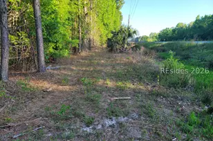 Tbd Speedway Blvd, Hardeeville, SC 29927 - Photo 1