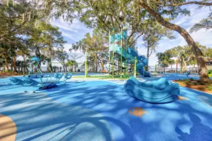 19 Rookery Way, Hilton Head Island, SC 29926 - Photo 89