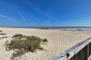 239 Beach City Rd, Hilton Head Island, SC 29926 - Photo 53