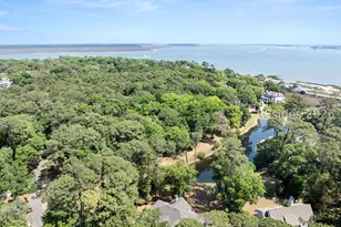 11 Port Passage, Daufuskie Island, SC 29915 - Photo 93