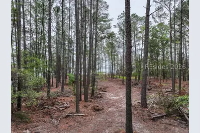 34 Creekmoor Lane, Seabrook, SC 29940 - Photo 9