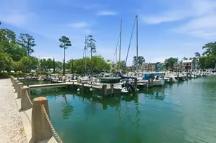16 Spindle Ln, Hilton Head Island, SC 29926 - Photo 51