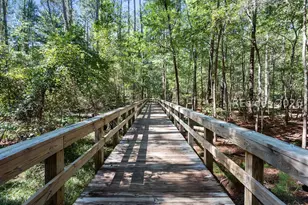 45 Wild Strawberry Ln, Bluffton, SC 29909 - Photo 37