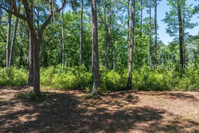 77 Lupine Road, Bluffton, SC 29910 - Photo 25