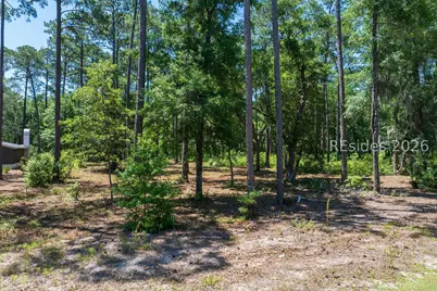 77 Lupine Road, Bluffton, SC 29910 - Photo 15