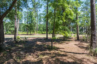 77 Lupine Road, Bluffton, SC 29910 - Photo 21
