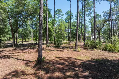 77 Lupine Road, Bluffton, SC 29910 - Photo 19