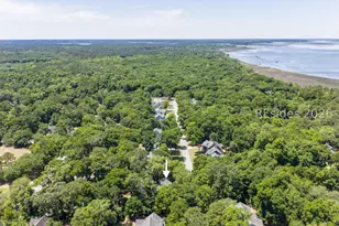 19 Laughing Gull Dr, Beaufort, SC 29907 - Photo 57