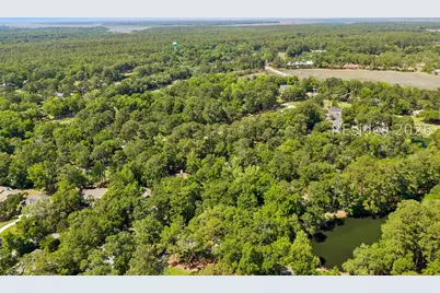 26 Cat Brier Lane, Hilton Head Island, SC 29926 - Photo 65