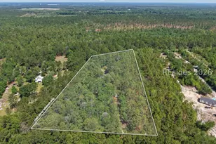 457 Ridgecut Rd, Early Branch, SC 29916 - Photo 57