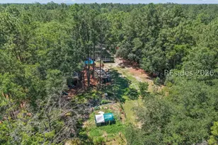 457 Ridgecut Rd, Early Branch, SC 29916 - Photo 55