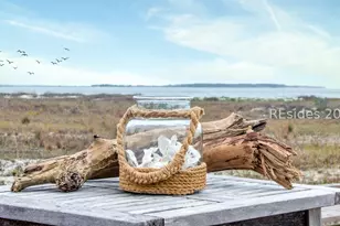3 Wagener Pl, Hilton Head Island, SC 29928 - Photo 69