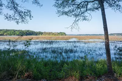 509 Pinckney Colony Road, Bluffton, SC 29909 - Photo 21