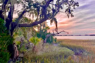59 Hinson White Dr, Daufuskie Island, SC 29915 - Photo 21