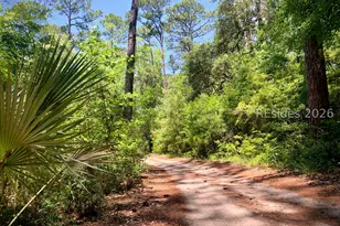 59 Hinson White Dr, Daufuskie Island, SC 29915 - Photo 19