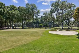 17 Balsams Ct, Hilton Head Island, SC 29926 - Photo 69