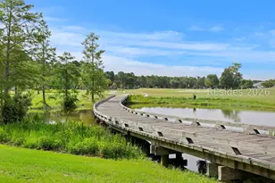 26 Whitebark Ln, Bluffton, SC 29909 - Photo 43