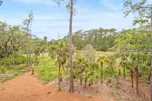 7 Woodstork Watch, Okatie, SC 29909 - Photo 57