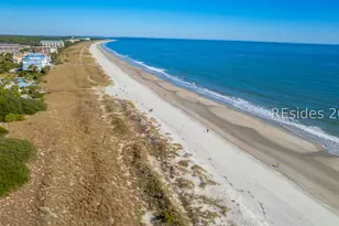 9 Barrier Beach Cove, Hilton Head Island, SC 29928 - Photo 41