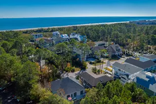 9 Barrier Beach Cove, Hilton Head Island, SC 29928 - Photo 39