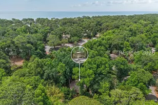 40 Night Heron Ln, Hilton Head Island, SC 29928 - Photo 33
