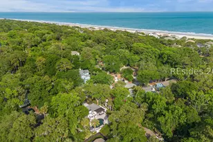 4 Egret St, Hilton Head Island, SC 29928 - Photo 61