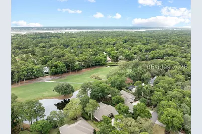 14 Larium Place, Hilton Head Island, SC 29926 - Photo 41