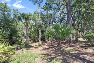 5 Devils Elbow Ln, Hilton Head Island, SC 29926 - Photo 33