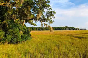 22 Maryfield Rd, Daufuskie Island, SC 29915 - Photo 41
