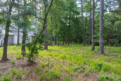 67 Lupine Road, Bluffton, SC 29910 - Photo 9